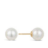 Australian South Sea Pearl Stud Earrings in 18ct Yellow Gold Hardy Brothers Jewellers