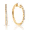 Quintessential 0.50 Carat Diamond Hoop Earrings in 18ct Yellow Gold Hardy Brothers Jewellers