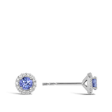 Tanzanite and Diamond Halo Earrings Hardy Brothers Jewellers