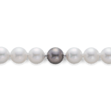 Vault Australian South Sea Pearl Strand Hardy Brothers Jewellers