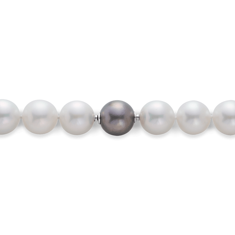 Vault Australian South Sea Pearl Strand Hardy Brothers Jewellers