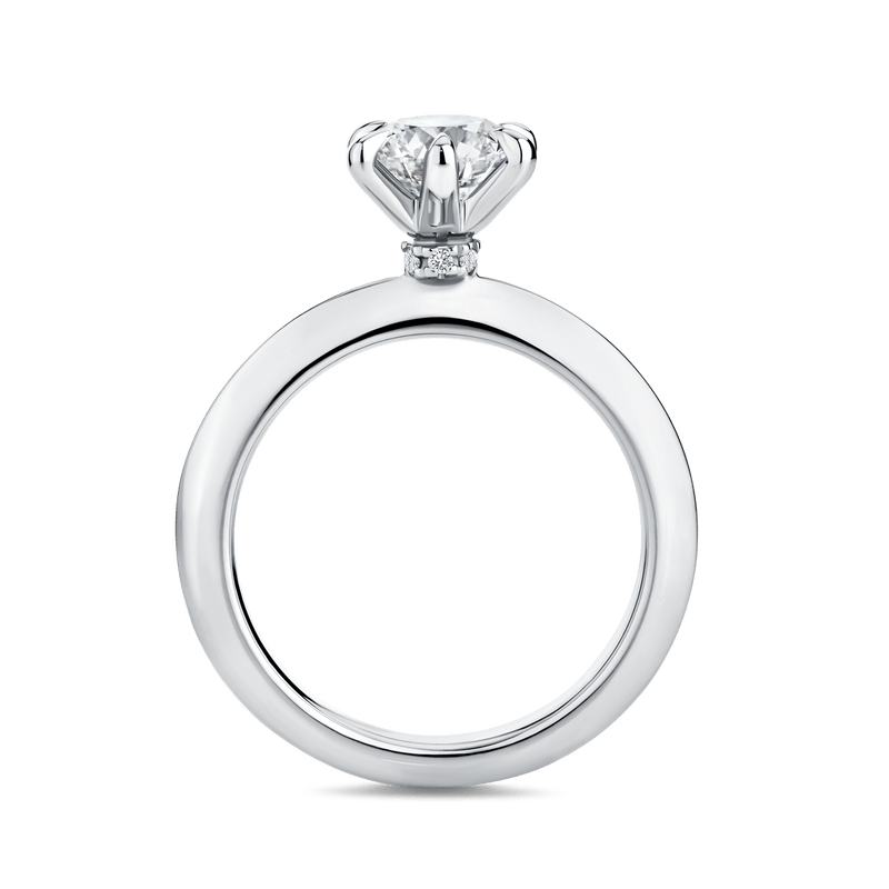 Arete 1.00 Carat Diamond Solitaire Engagement Ring in Platinum