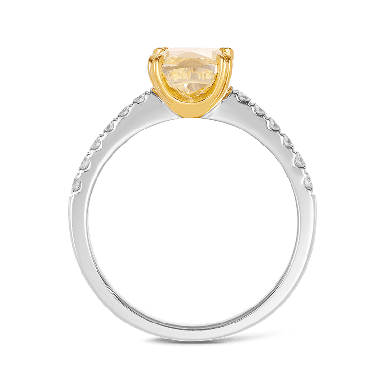 Vault 2.35 Carat Fancy Yellow Diamond Ring in 18ct White Gold Hardy Brothers 