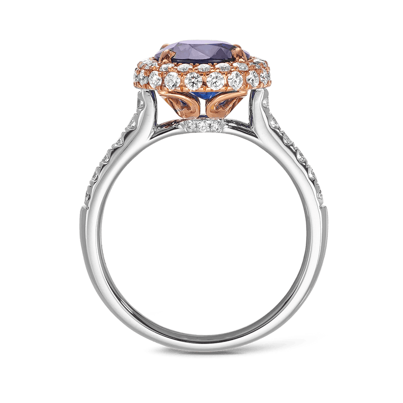 3.95 Carat Ceylon Sapphire and Diamond Ring in 18ct White Gold Hardy Brothers 