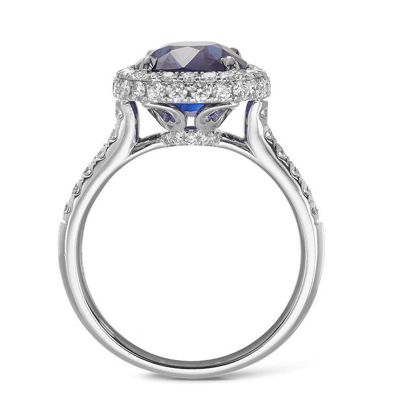 5.29 Carat Sapphire and Diamond Ring in 18ct White Gold