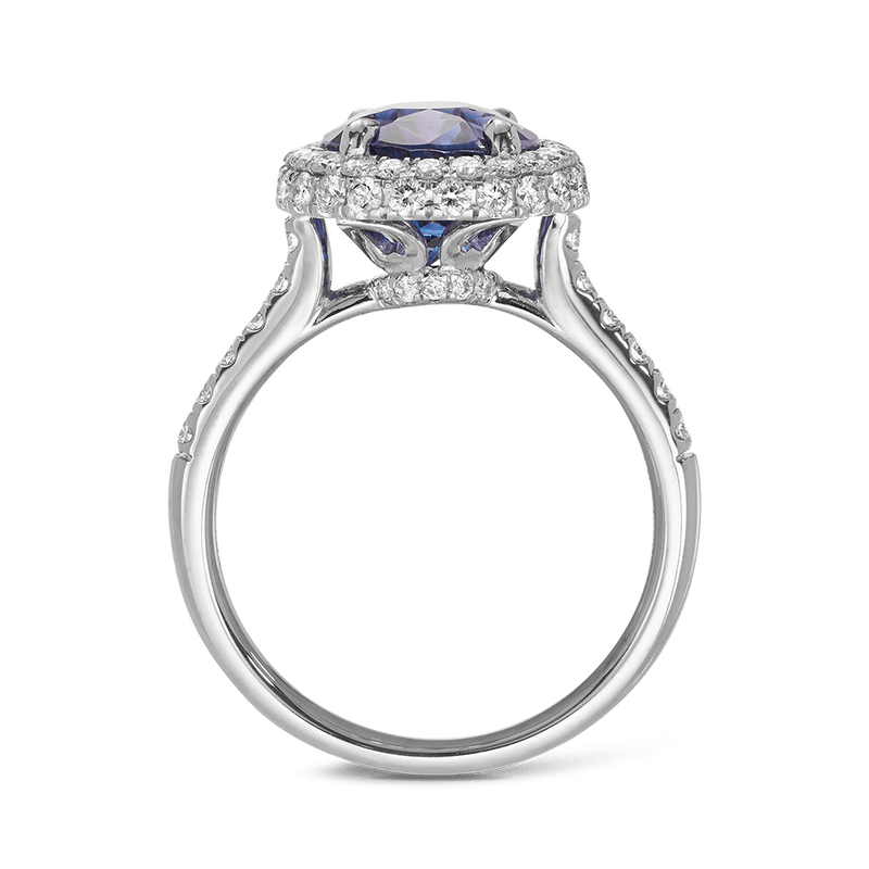 5.88 Carat Ceylon Sapphire and Diamond Ring in 18ct White Gold Hardy Brothers 