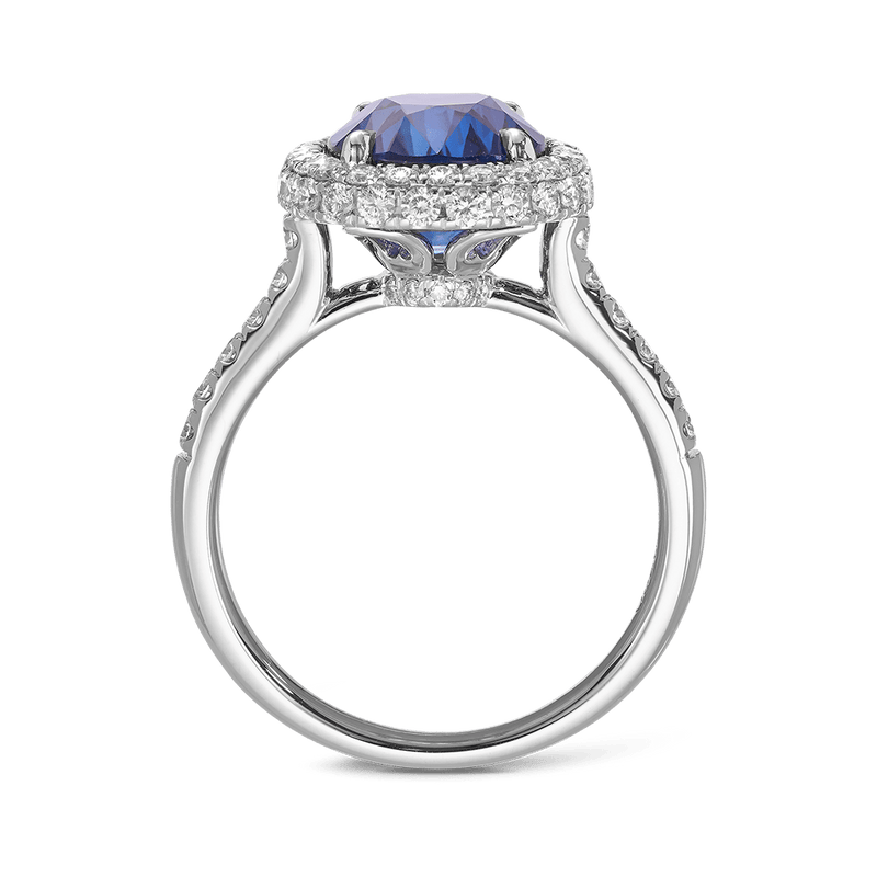 6.48 Carat Madagascan Sapphire and Diamond Ring in 18ct White Gold Hardy Brothers 