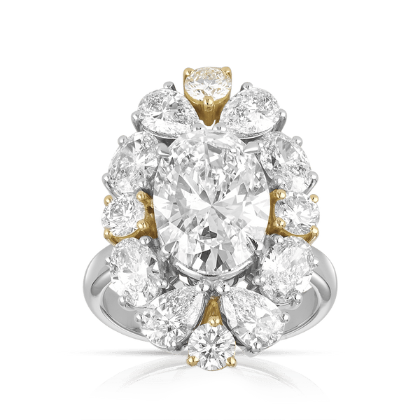 7.50ct Oval Cut Diamond Vault Ring Hardy Brothers Jewellers