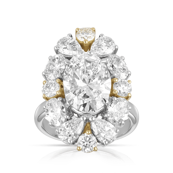 7.50ct Oval Cut Diamond Vault Ring Hardy Brothers Jewellers