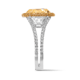 8.25ct Fancy Yellow Diamond Vault Ring Hardy Brothers Jewellers