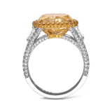 8.25ct Fancy Yellow Diamond Vault Ring Hardy Brothers Jewellers