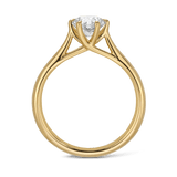 Amora 1.00 Carat Diamond Solitaire Engagement Ring in 18ct Yellow Gold Hardy Brothers